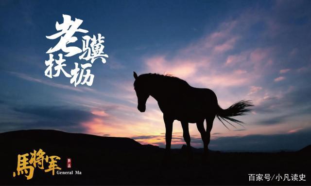 曹操遠征烏桓,凱旋回師寫下《觀滄?！?、《龜雖壽》