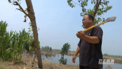 老驥伏櫪,永恒初心 記內黃縣二安鎮(zhèn)大劉村黨支部書記馬文忠