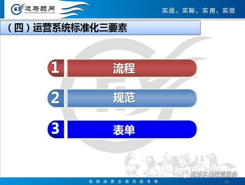 連鎖運營標(biāo)準(zhǔn)化模塊 企業(yè)管理核心操作指南