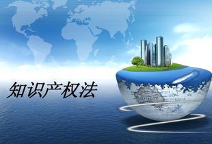 揭秘專(zhuān)利訴訟中的常見(jiàn)“套路”與企業(yè)管理應(yīng)對(duì)之道